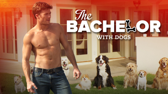 Scott Eastwood The Bachelor with Dogs Funny or Die 2015