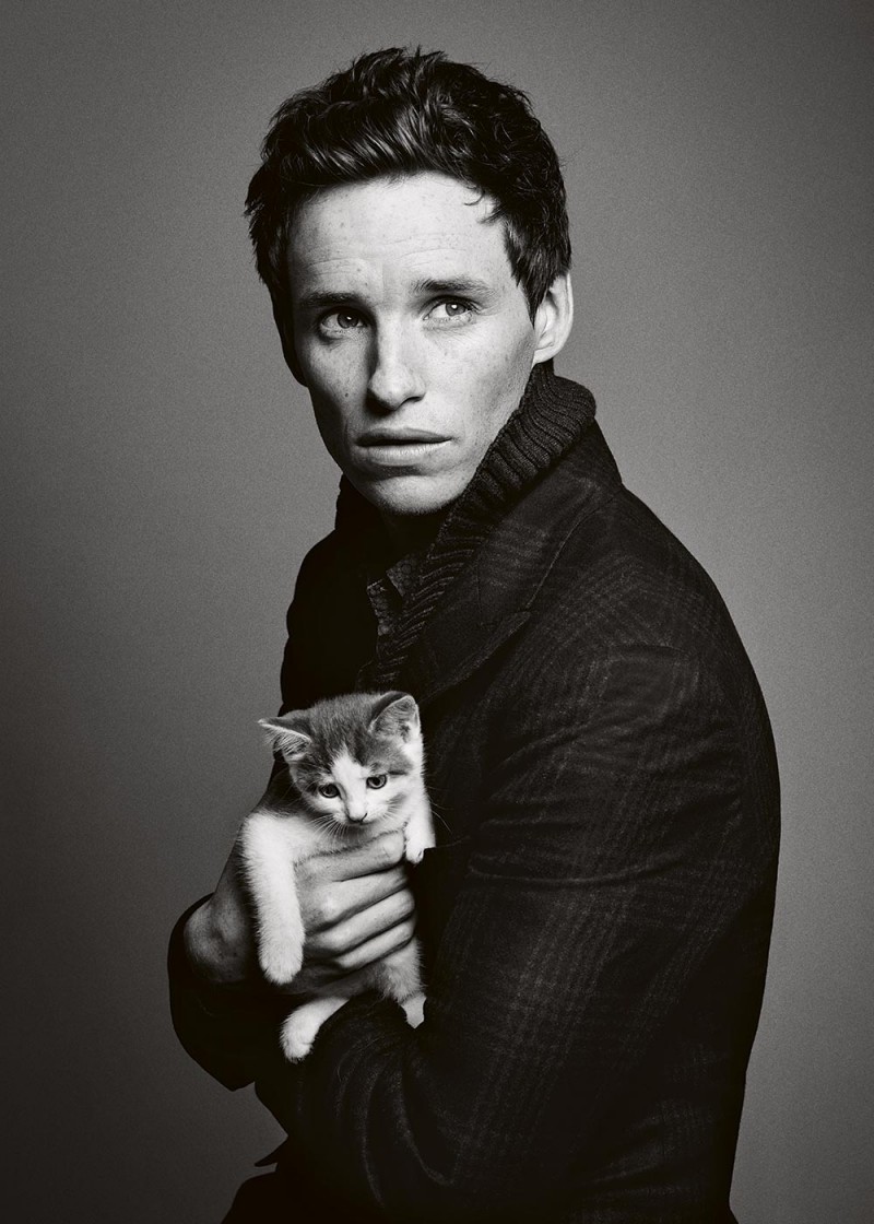 Eddie Redmayne poses with a kitten for the pages of Harper's Bazaar UK.