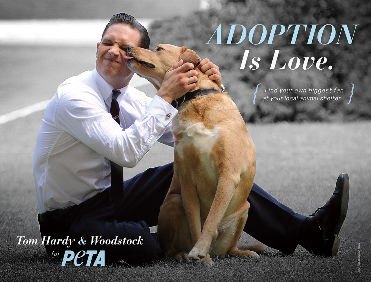 Tom Hardy + Dog Woodstock Star in PETA Adoption Campaign