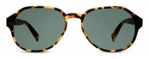 Warby Parker Mens Sunglasses Nordstrom 2015 004