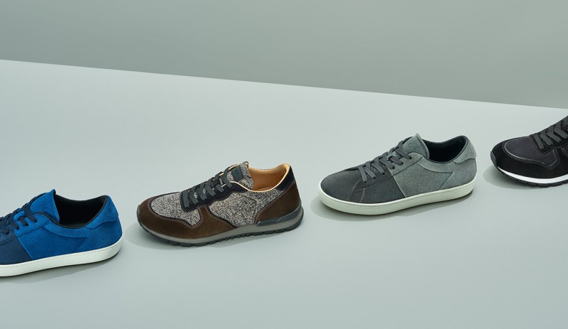 mens tods trainers