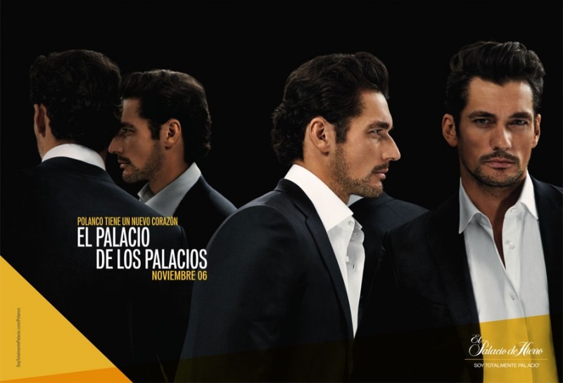 David-Gandy-2015-El-Palacio-de-Los-Palacios-002