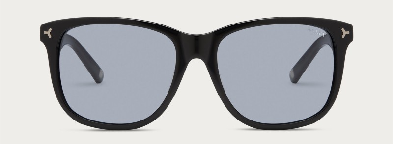 Bally D Frame Sunglasses in Black.