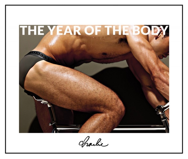 Year of the Body: Blake Bridge for Charlie by Matthew Zink