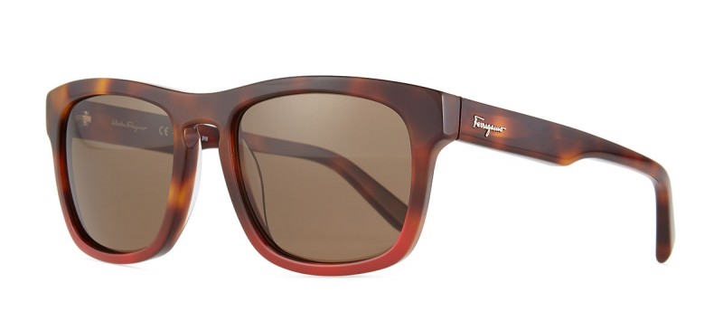 Salvatore-Ferragamo-Tortoise-Plastic-Sunglasses