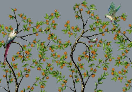 Dolce Gabbana 2016 Spring Summer Mens Collection Birds of Paradise 022