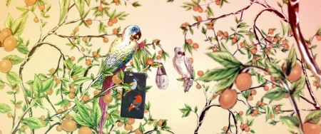 Dolce Gabbana 2016 Spring Summer Mens Collection Birds of Paradise 027