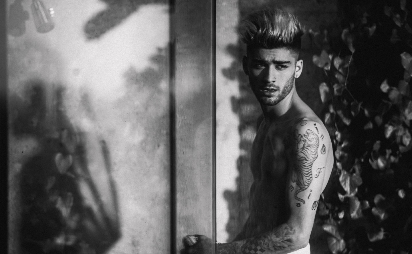 Zayn Malik Shirtless Tattoos Picture 2016 Complex Photo Shoot Shoulder