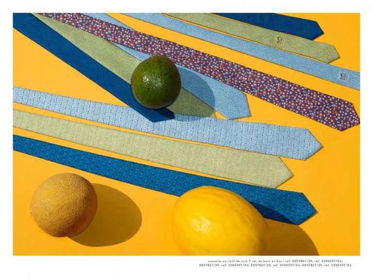 Hermès Scarves & Ties 2016 Spring/Summer Collection