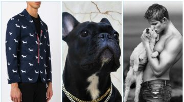 Chic Best Friend: Sleek Companion to French Bulldog Fashion