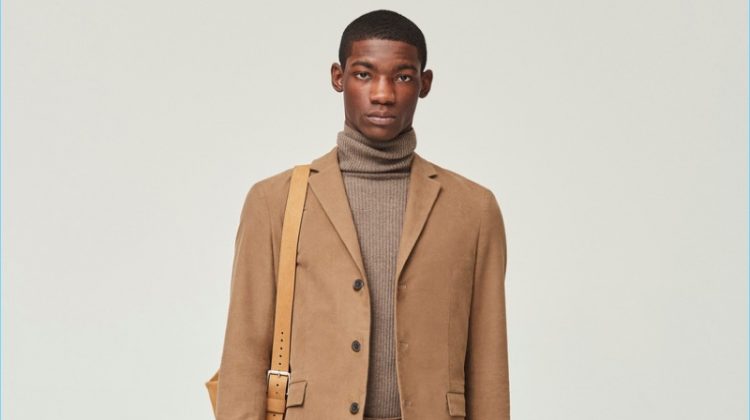 Shades of Brown: Theory Gets Smart