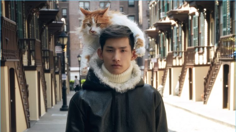 Barneys is Mad About Cats for Fall ’17 Campaign