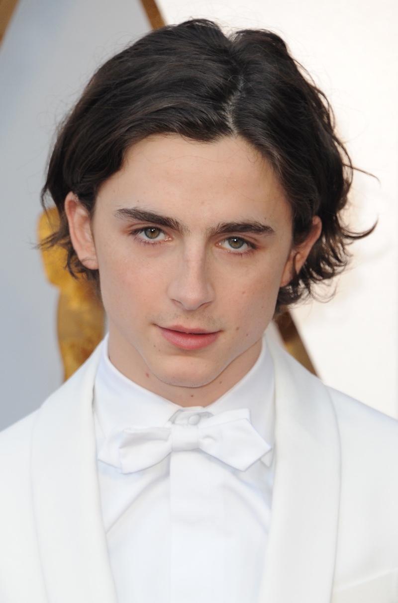 Timothee Chalamet at the 90th Annual Academy Awards wearing a white bow tie.