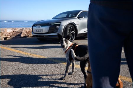 Werner Schreyer 2018 Audi 008