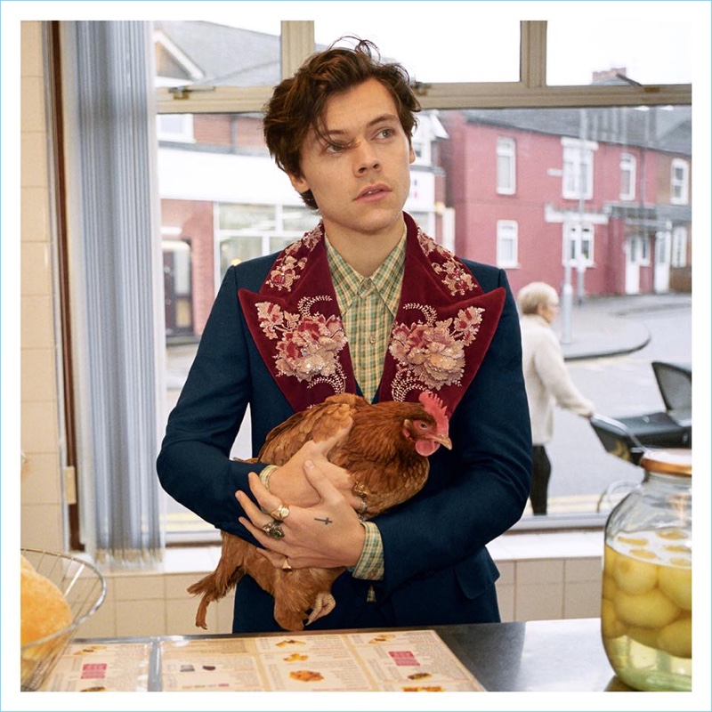 Gucci enlists Harry Styles as the star of its fall-winter 2018 tailoring campaign.