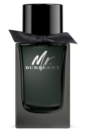 Burberry Mr. Burberry Eau De Parfum Burberry Mr. Burberry Eau De Parfum