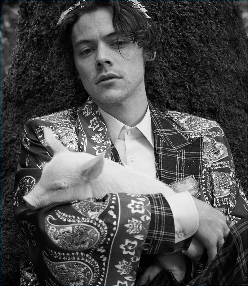 Harrry Styles stars in Gucci's cruise 2019 tailoring campaign.