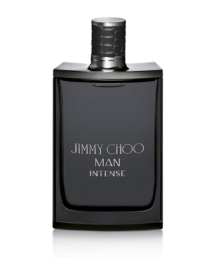 jimmy choo eau de parfum spray 3.3 oz