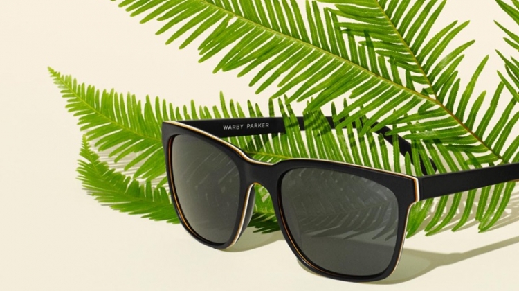 Warby Parker Barkley Sunglasses in Black Matte Eclipse