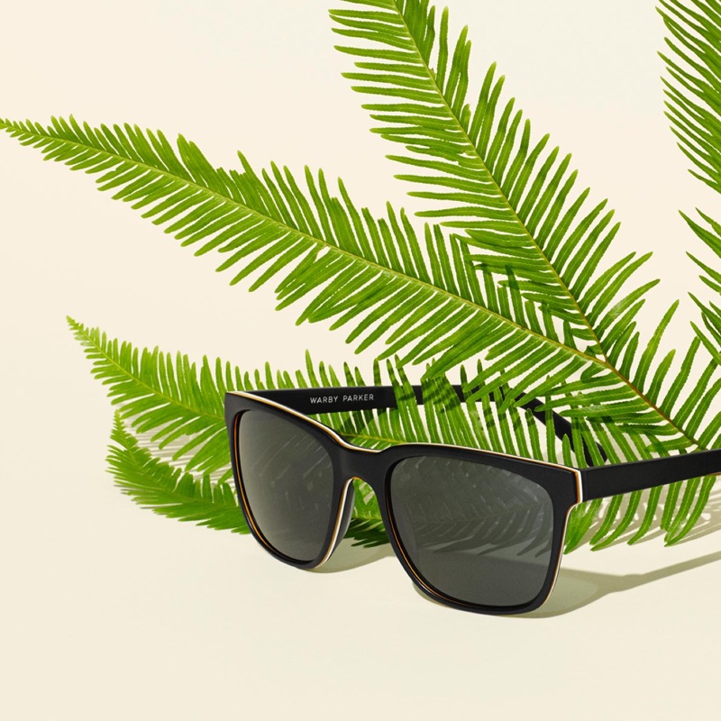 Warby Parker Barkley Sunglasses in Black Matte Eclipse