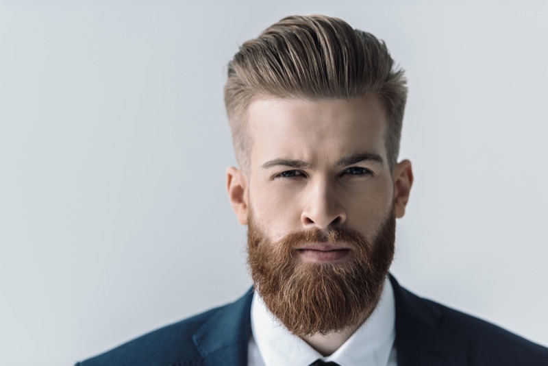 Handsome Man Beard Handsome Man Beard