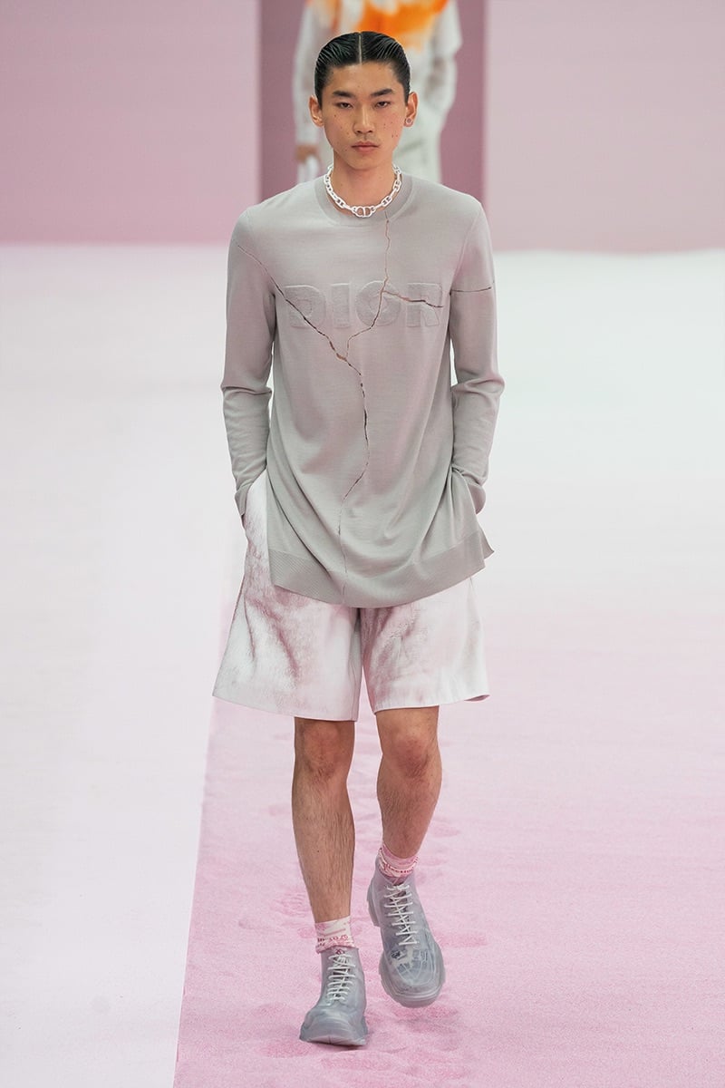 Dior Men Spring Summer 2020 Collection
