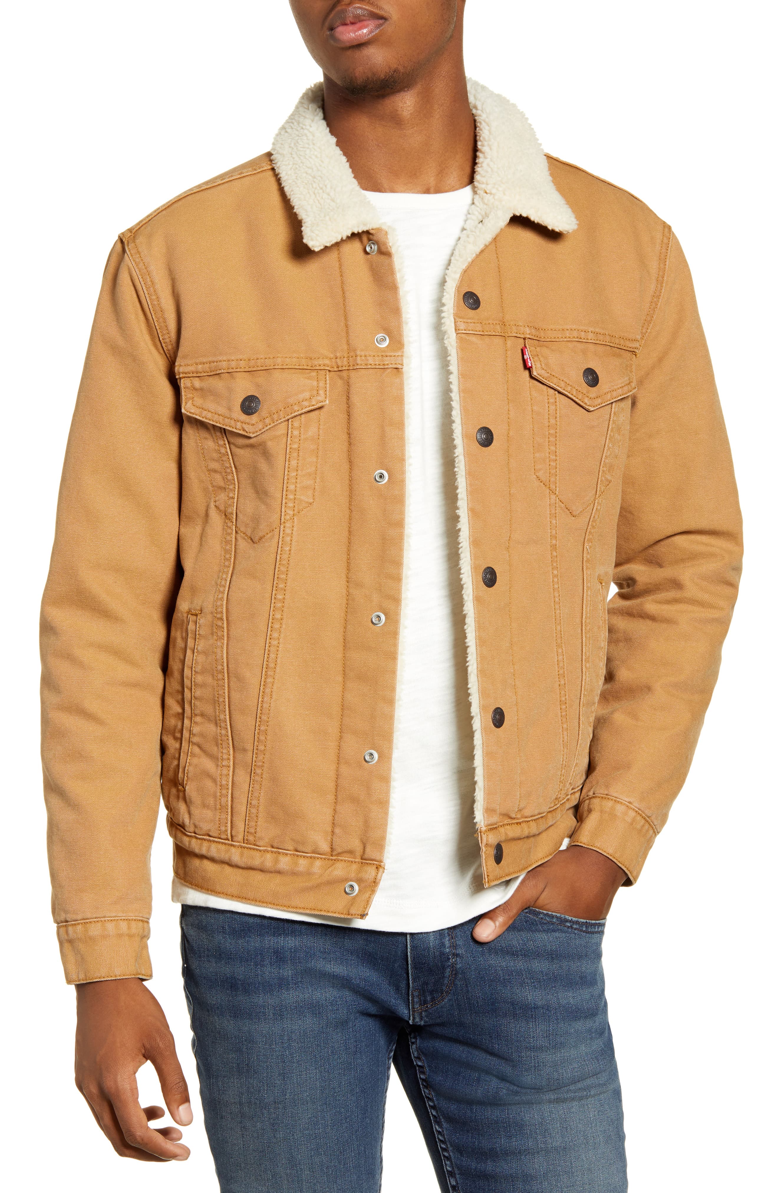 levi's newt