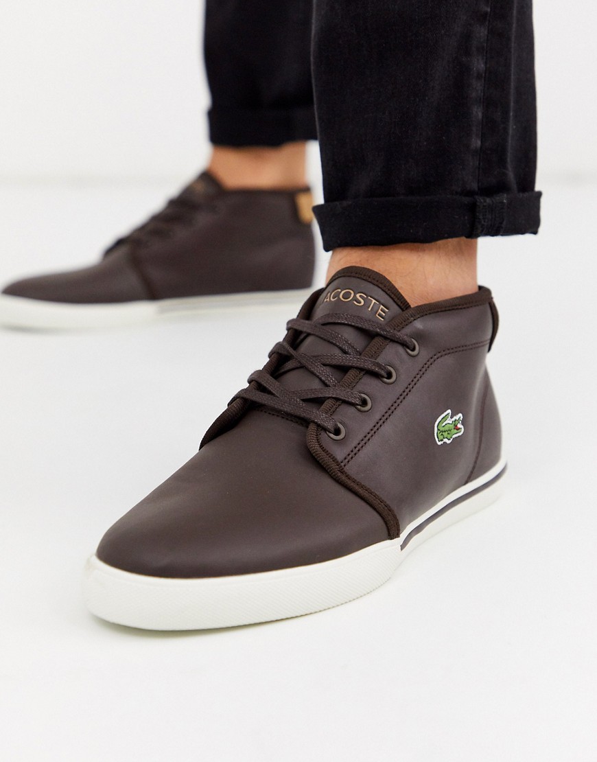 lacoste chukka sneakers