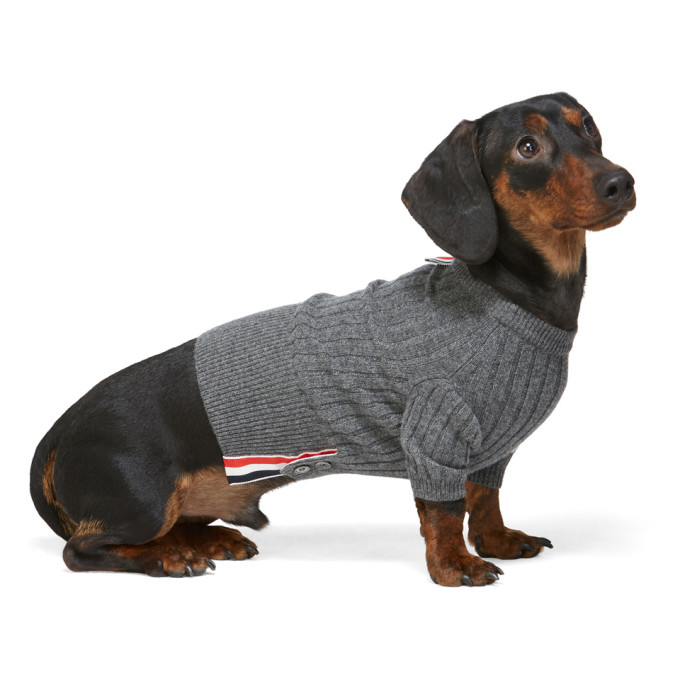 dog coats with sleeves