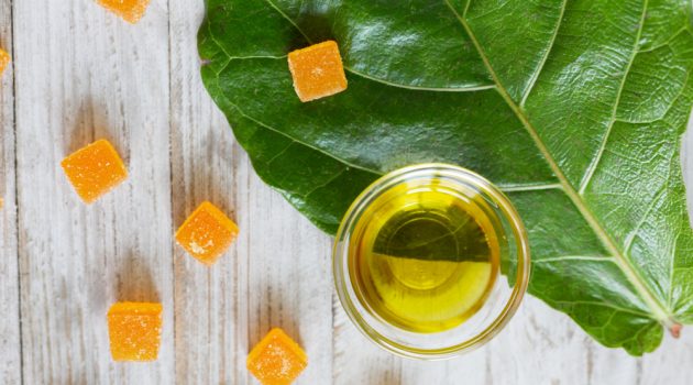 10 Reasons to Take CBD Gummies Before Your Next Shopping Trip Yellow CBD Gummies