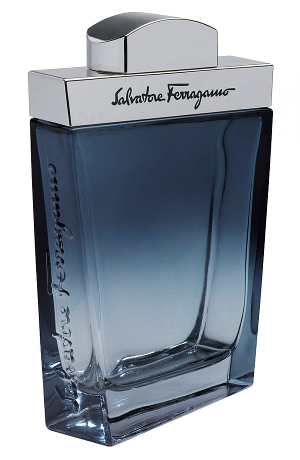 ferragamo black eau de toilette 100ml