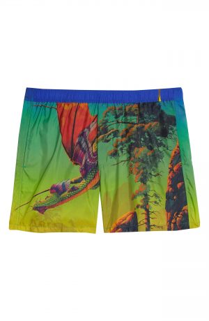 Men's Valentino Dragon At Dawn Swim Trunks, Size 46 EU - Blue Men's Valentino Dragon At Dawn Swim Trunks, Size 46 EU - Blue