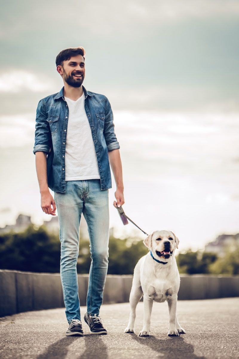 Man Walking Dog Wearing Denim