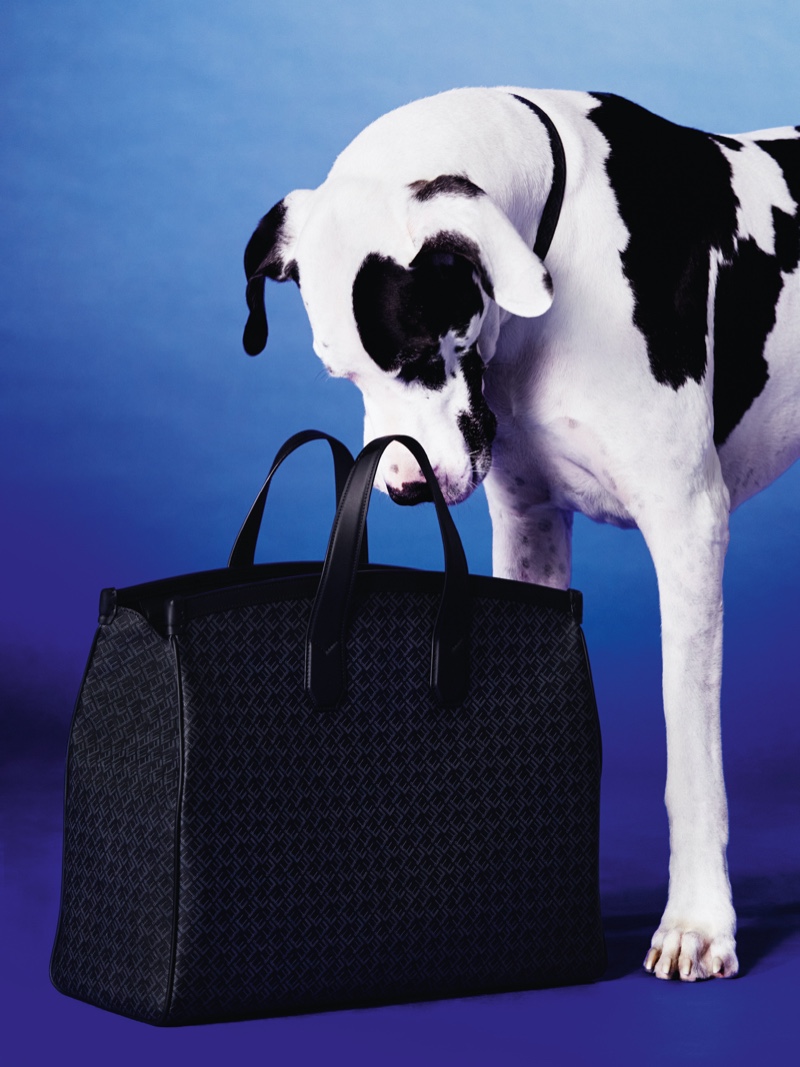 Dunhill Brings Together Models & Dogs for Festive '20 Campaign