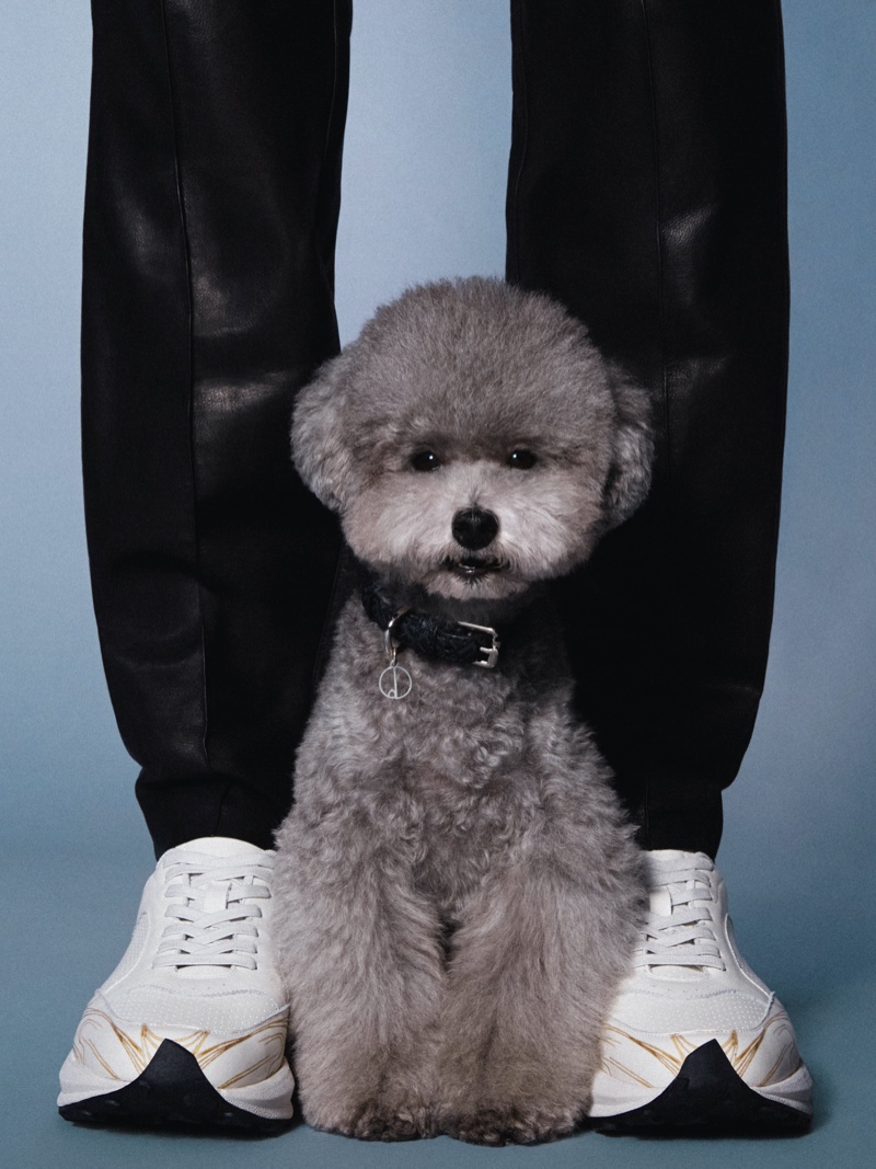 Dunhill Brings Together Models & Dogs for Festive '20 Campaign