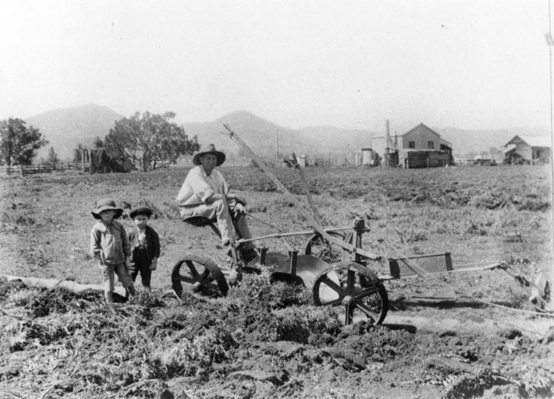 Farmer 1907 Jeans