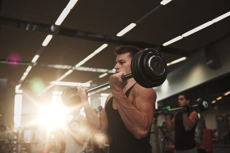 Barbell Curl Exercise