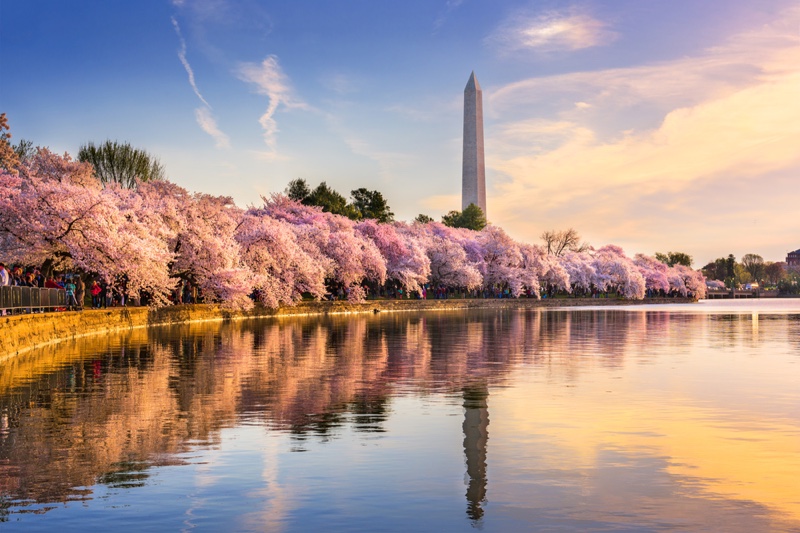 Washington D.C. Monument Spring Season