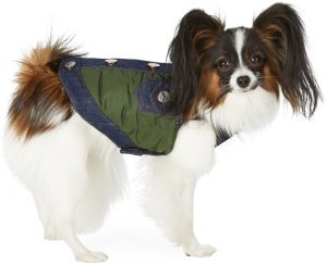 Dsquared2 Green Poldo Dog Couture Edition Small Vancouver Vest Dsquared2 Green Poldo Dog Couture Edition Small Vancouver Vest