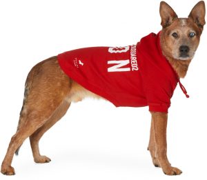Dsquared2 Red Poldo Dog Couture Edition Icon Ottawa Hoodie Dsquared2 Red Poldo Dog Couture Edition Icon Ottawa Hoodie