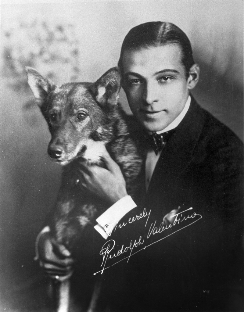 Donning his signature slicked-back hair, Italian actor Rudolph Valentino poses for a portrait with his dog.