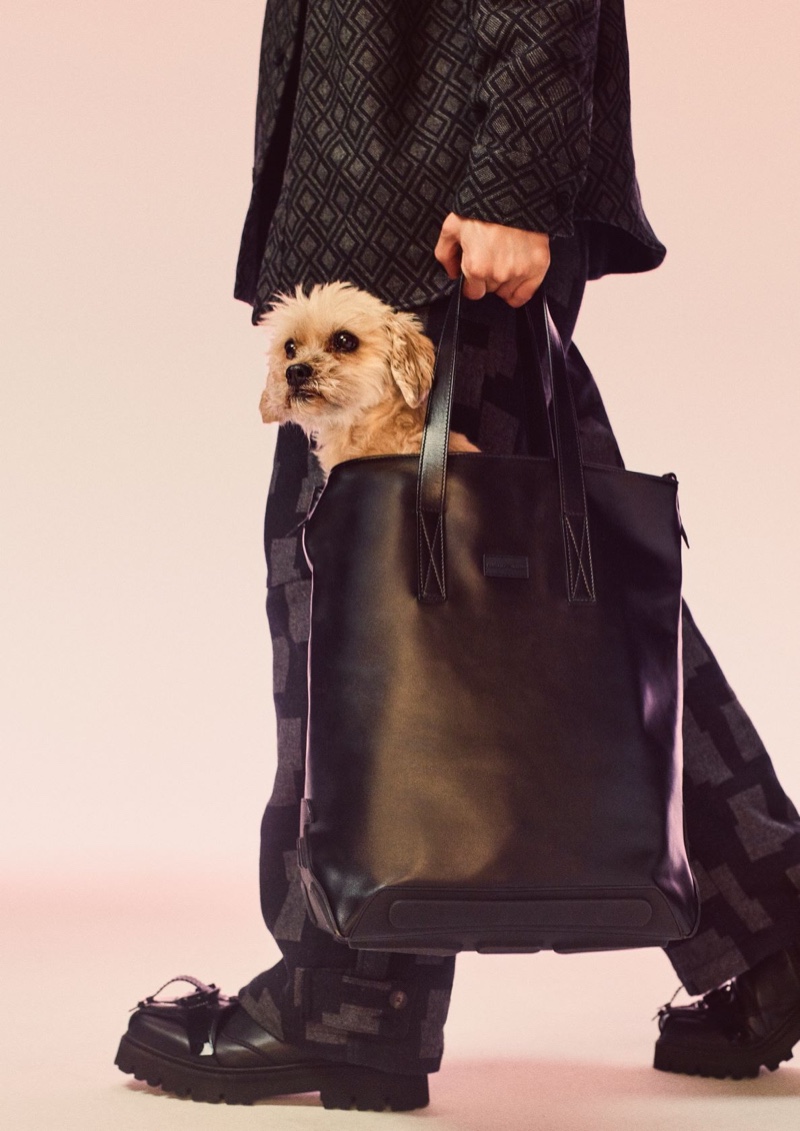 Morkie Dog Emporio Armani Campaign Men Fall 2022