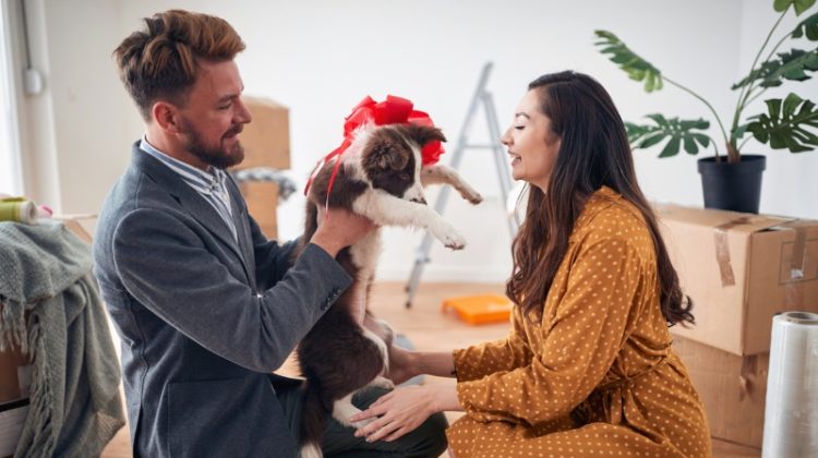 man gifting wife dog