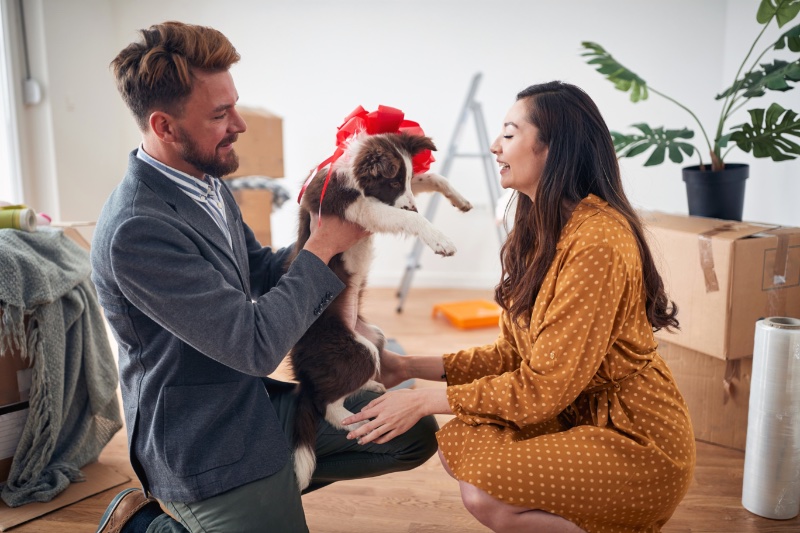 man gifting wife dog