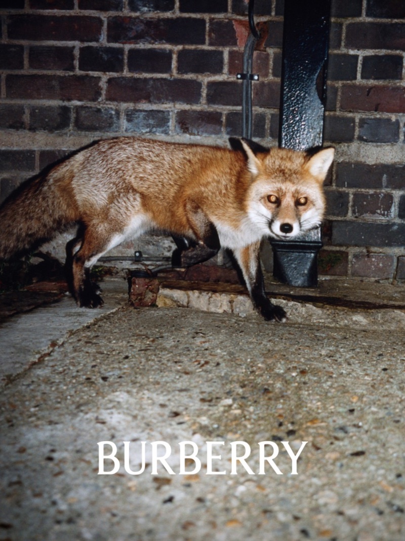 Burberry Campaign 004