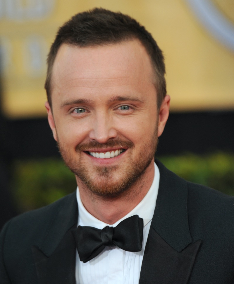 Crew Cut Aaron Paul