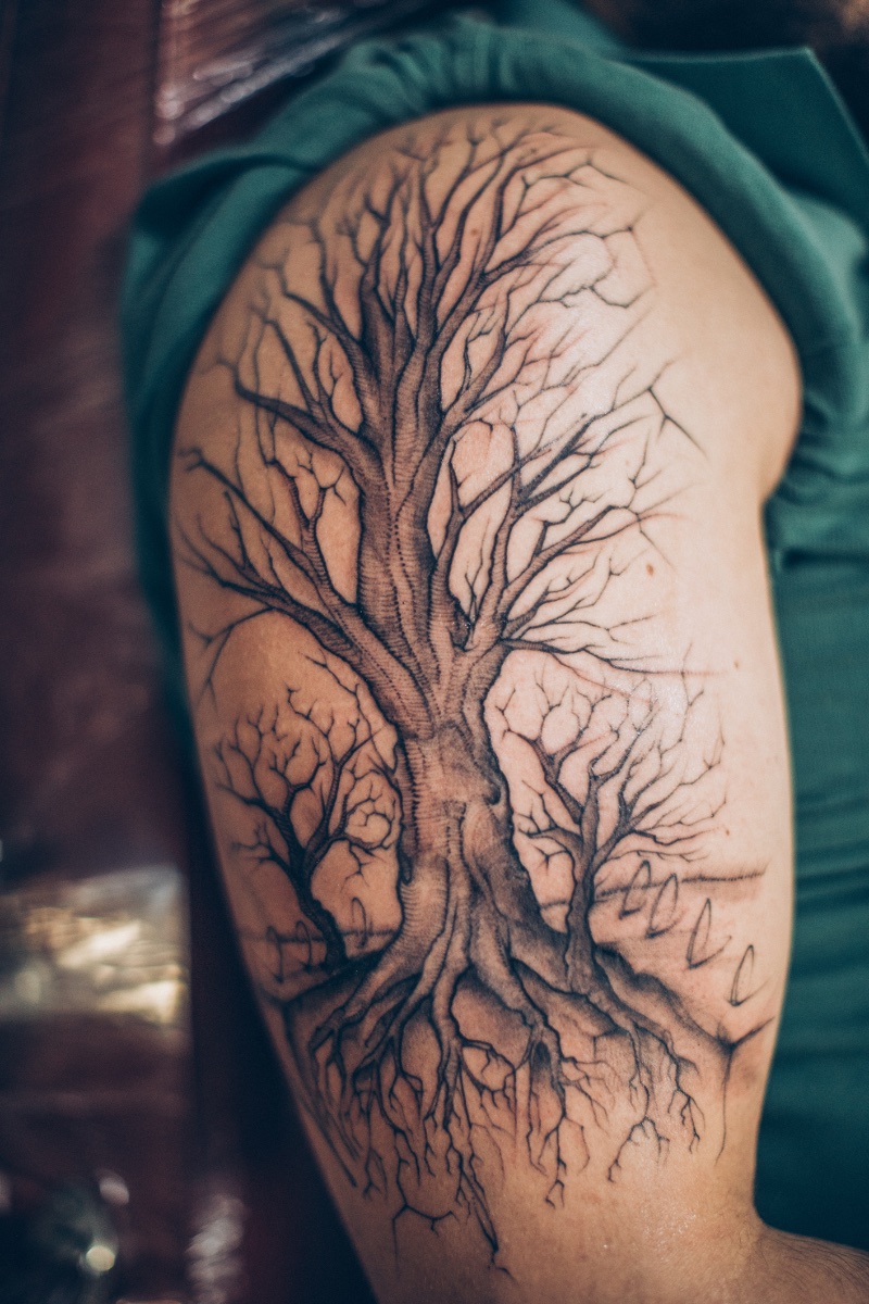 Tattoo Ideas for Men Tree Arm