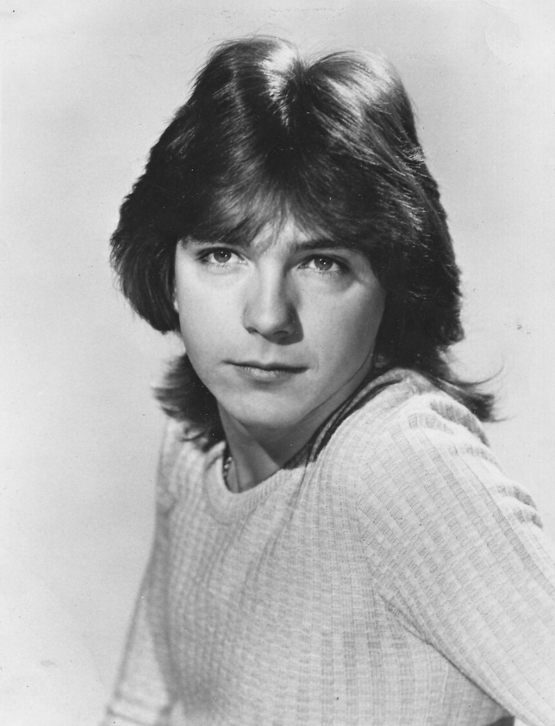 David Cassidy Shag Hair Men 1970s 1972