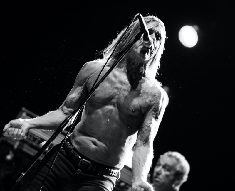 Iggy and The Stooges » Skater Style: Nail Skate Fashion for the Perfect Look Iggy and The Stooges