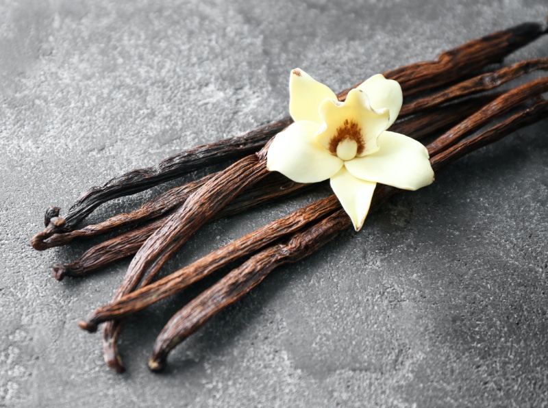 Oriental Fragrance Family Vanilla